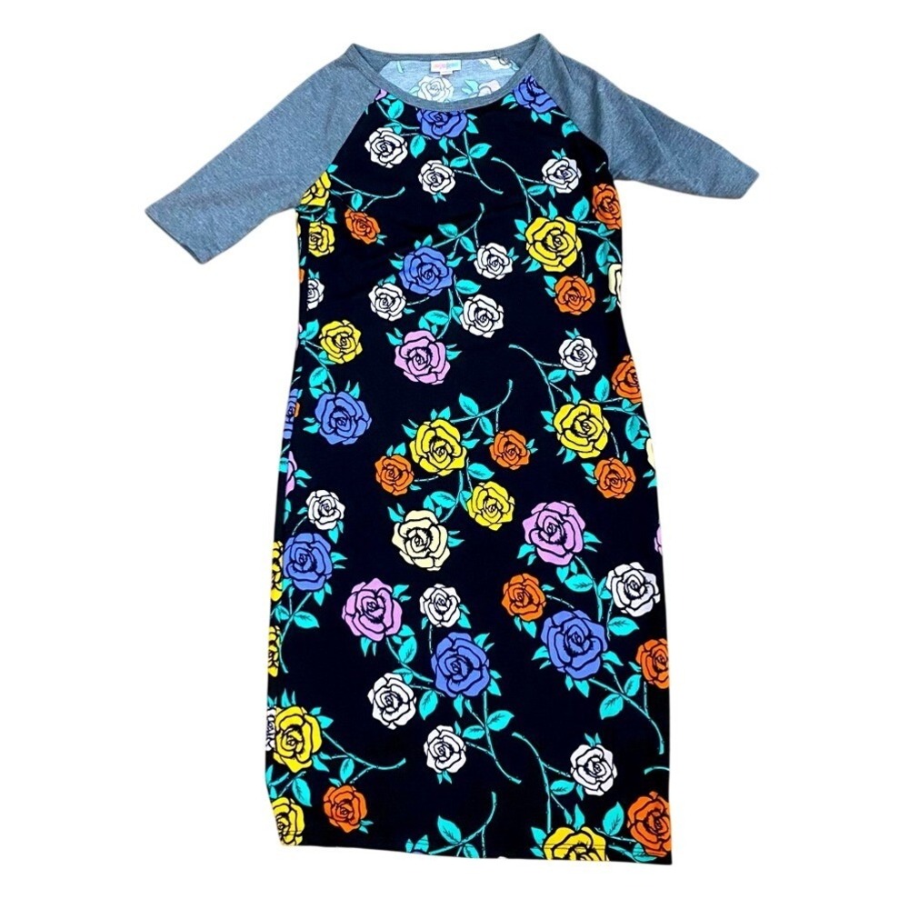 NWT Lularoe Julia dress size S colorful roses